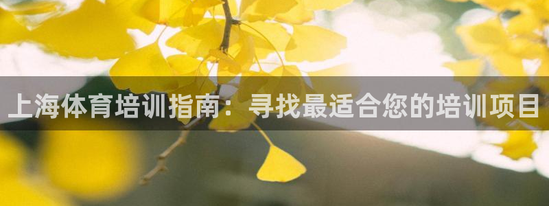 极悦娱乐挂机赚钱是真的吗：上海体育培训指南：寻找最适