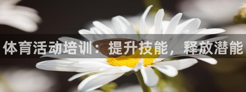 极悦平台有风险吗现在：体育活动培训：提升技能，释放潜