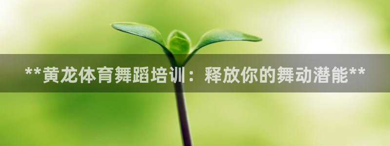 极悦平台代理怎么赚钱：**黄龙体育舞蹈培训：释放你的