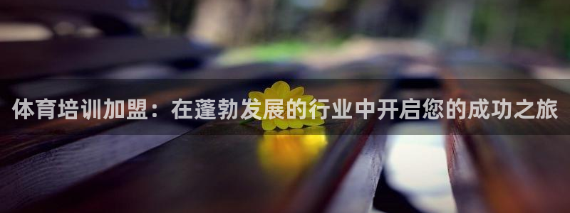 极悦官网注册最新版本更新内容在哪：体育培训加盟：在蓬