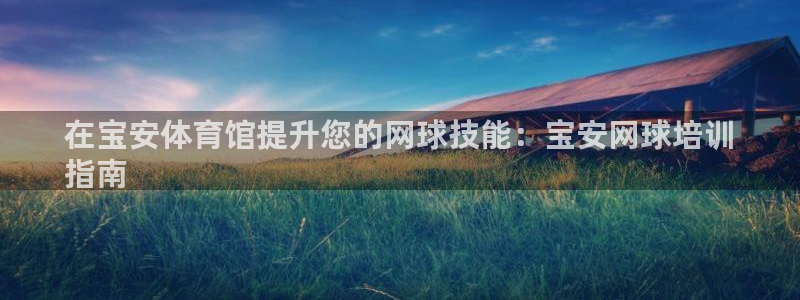 极悦平台注册登录入口网址：在宝安体育馆提升您的网球技