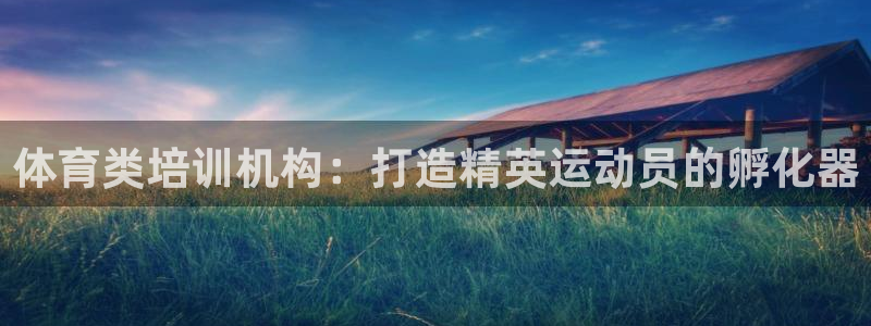 极悦娱乐分7O777：体育类培训机构：打造精英运动员