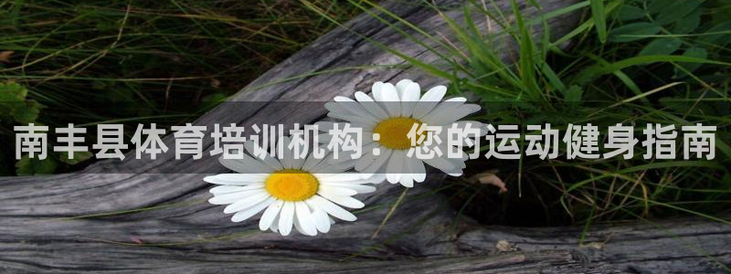 极悦娱乐官方网站首页：南丰县体育培训机构：您的运动健