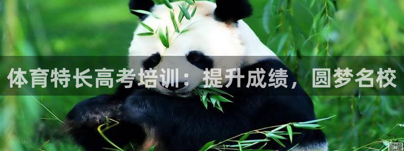 极悦娱乐百科百度贴吧：体育特长高考培训：提升成绩，圆