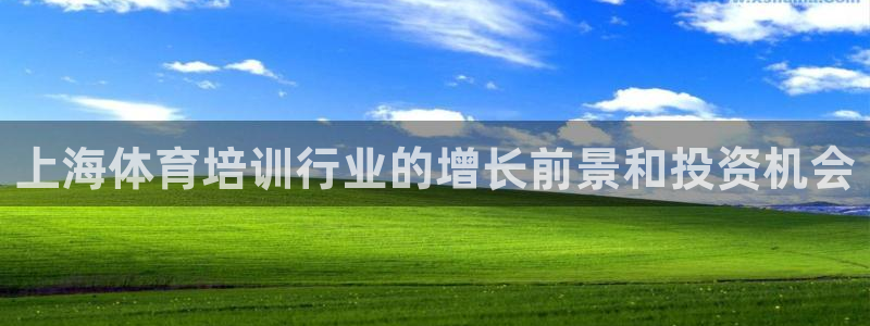 极悦平台代理怎么赚钱：上海体育培训行业的增长前景和投