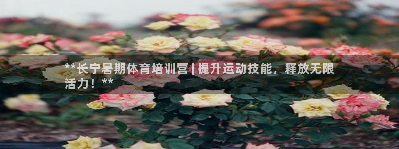 极悦平台官网登录入口网址是什么：**长宁暑期体育培训