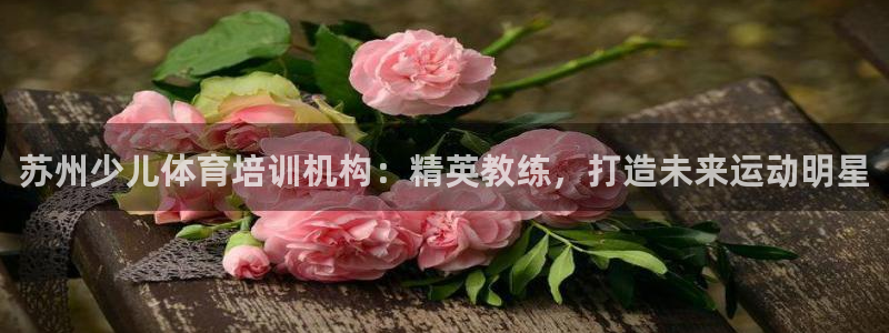 加盟极悦教育要多少钱：苏州少儿体育培训机构：精英教练