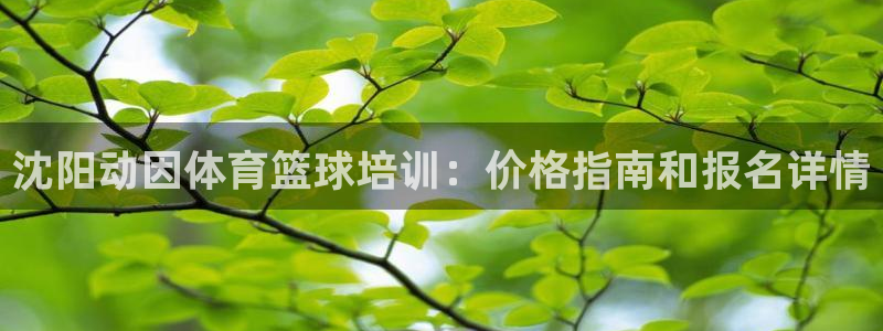 极悦娱乐：沈阳动因体育篮球培训：价格指南和报名详情