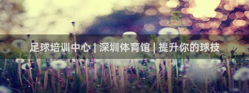 极悦平台登录7.0.2.4手机版下载安卓：足球培训中