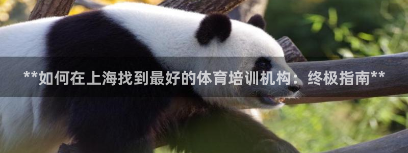 极悦平台注册用户名格式：**如何在上海找到最好的体育