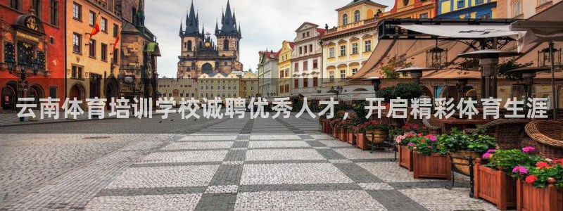 极悦平台发7O777：云南体育培训学校诚聘优秀人才，