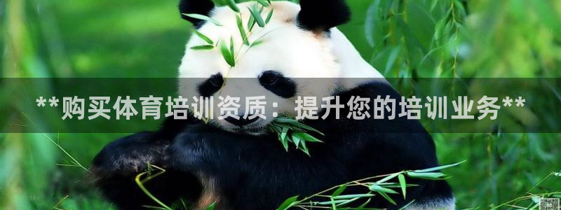 极悦平台使用教程图片：**购买体育培训资质：提升您的