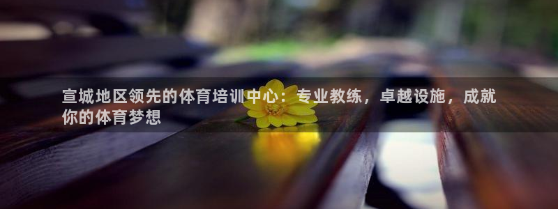 极悦娱乐的背景和历史背景分析：宣城地区领先的体育培训