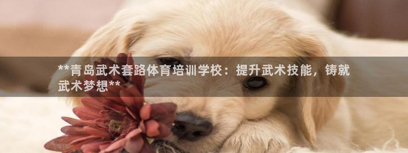 极悦平台家7O777：**青岛武术套路体育培训学校：