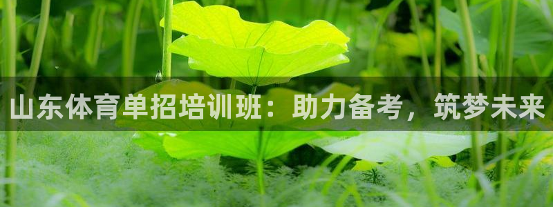 极悦平台官网下载中心app：山东体育单招培训班：助力