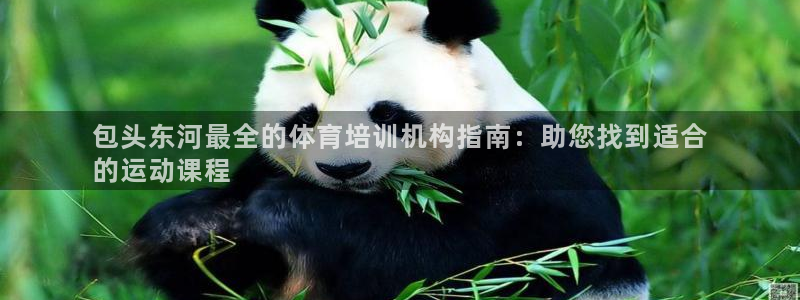 极悦平台官网登录入口网址：包头东河最全的体育培训机构
