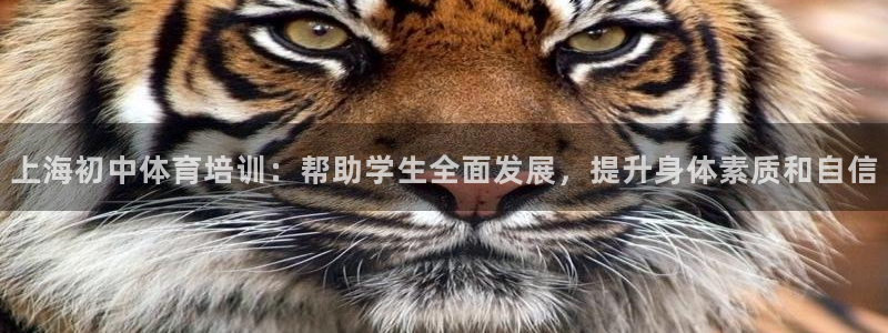 极悦平台用户评价怎么样：上海初中体育培训：帮助学生全