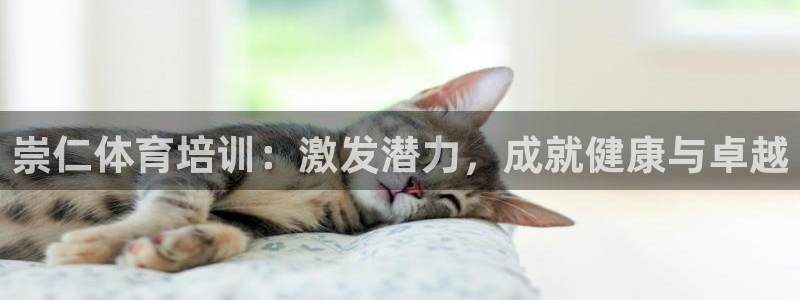 极悦娱乐股东结构：崇仁体育培训：激发潜力，成就健康与