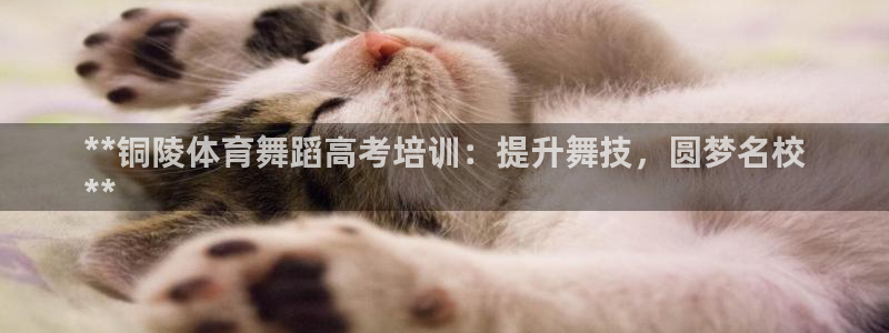 极悦娱乐负责人电话：**铜陵体育舞蹈高考培训：提升舞