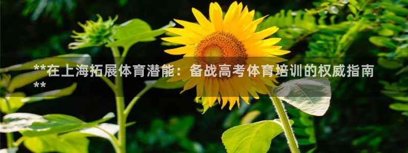 极悦平台股东：**在上海拓展体育潜能：备战高考体育培