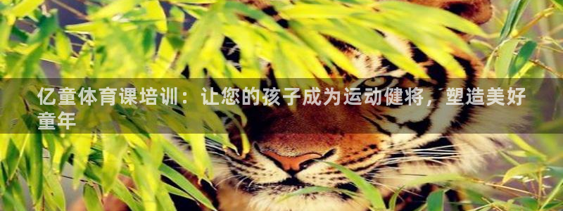 极悦娱乐下载安装手机版：亿童体育课培训：让您的孩子成