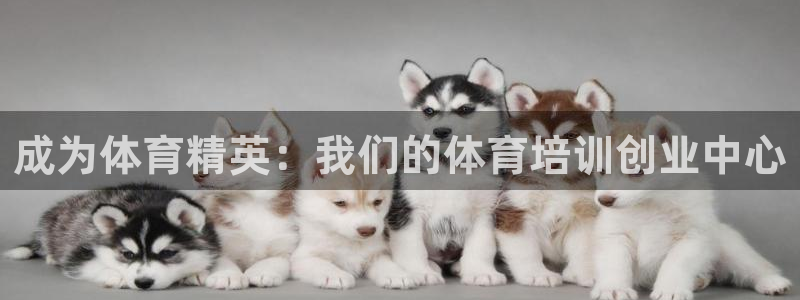 极悦平台注册用户名验证不了：成为体育精英：我们的体育