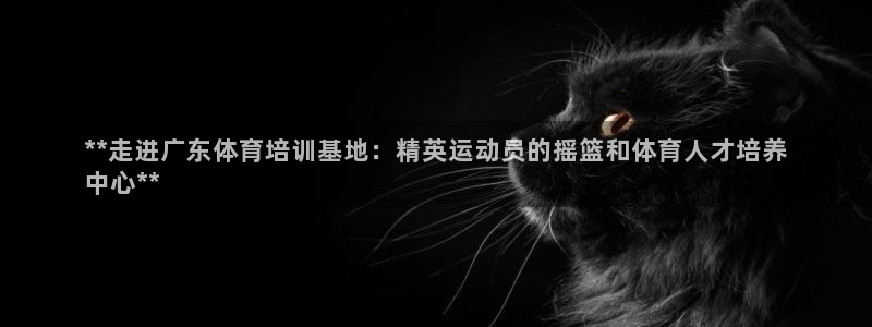 极悦娱乐app官方版本更新内容下载：**走进广东体育