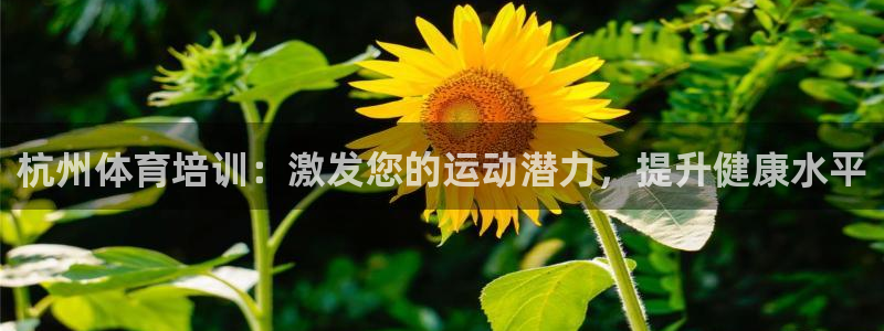 极悦平台与网易合作详情：杭州体育培训：激发您的运动潜