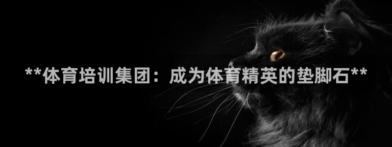 极悦平台股东名单：**体育培训集团：成为体育精英的垫
