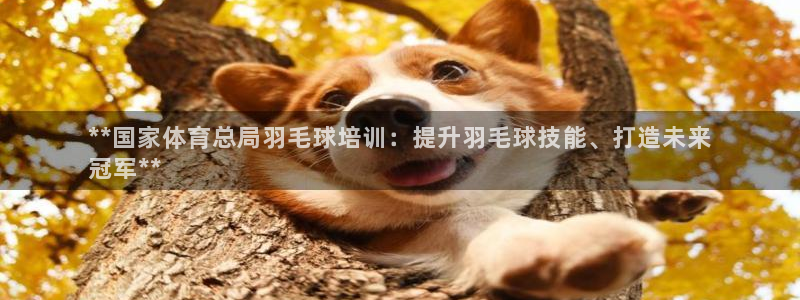 极悦娱乐公司最新招聘信息电话：**国家体育总局羽毛球