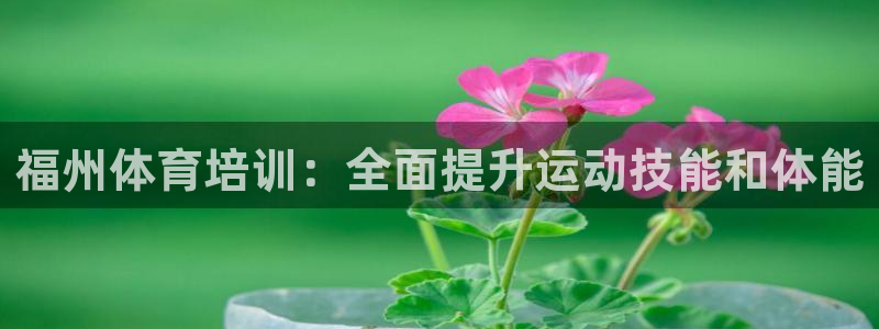 极悦平台代理怎么做赚钱：福州体育培训：全面提升运动技