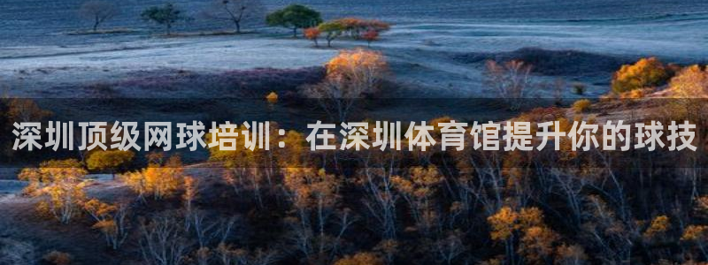 极悦娱乐的最新版本更新内容在哪：深圳顶级网球培训：在