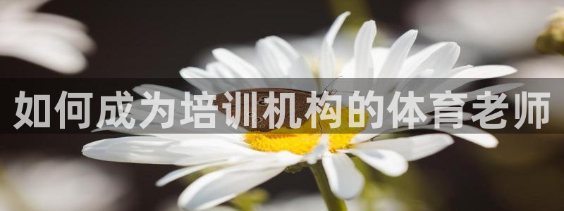 极悦平台是正规平台吗是真的吗：如何成为培训机构的体育
