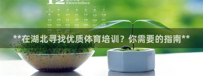 极悦官网首页登录入口：**在湖北寻找优质体育培训？你