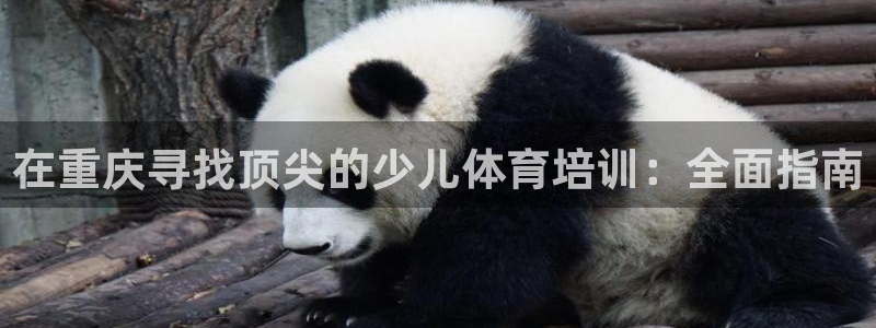 极悦娱乐负责人怎么样：在重庆寻找顶尖的少儿体育培训：