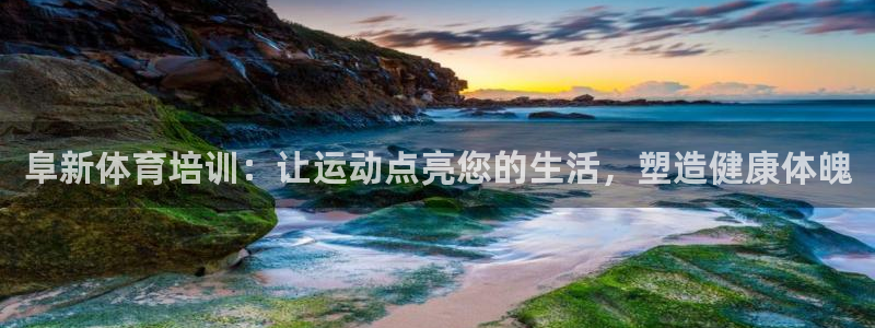 极悦平台官方网址是什么：阜新体育培训：让运动点亮您的