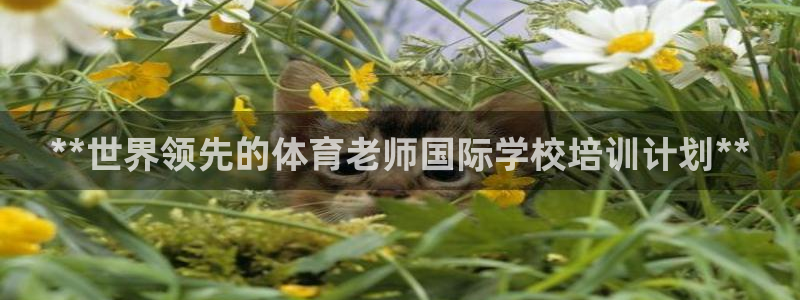 极悦平台官网入口登录：**世界领先的体育老师国际学校