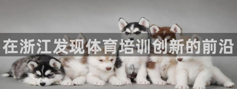 极悦平台注册登录入口在哪：在浙江发现体育培训创新的前