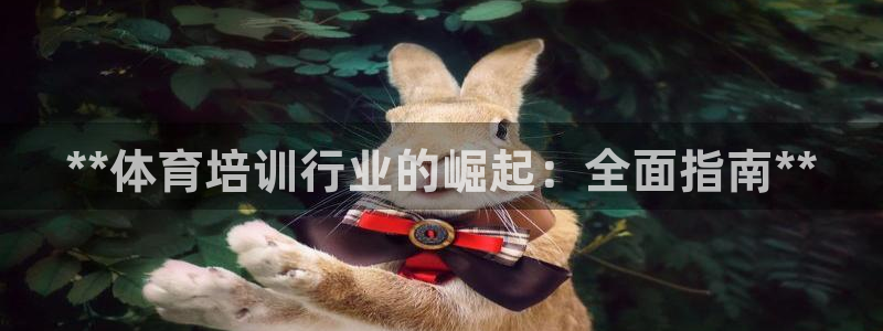 极悦平台官网登录网址查询：**体育培训行业的崛起：全