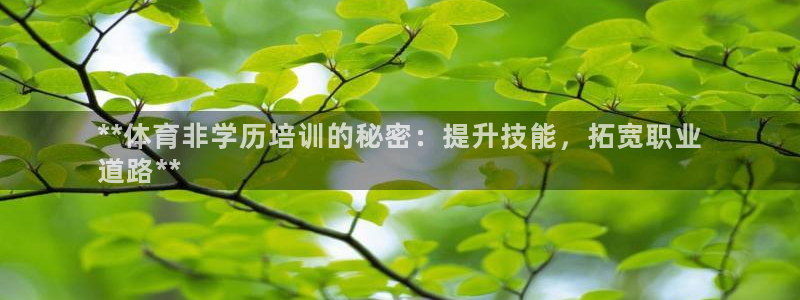 极悦娱乐代理怎么样：**体育非学历培训的秘密：提升技