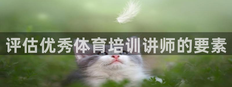 极悦娱乐公司最新招聘信息电话：评估优秀体育培训讲师的