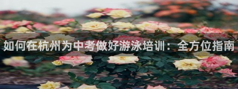 极悦娱乐游戏安全吗：如何在杭州为中考做好游泳培训：全
