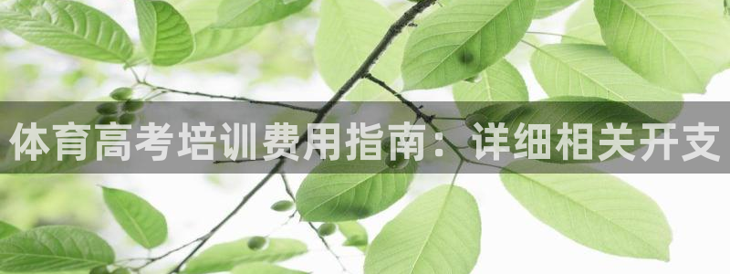 极悦官网的登录方法：体育高考培训费用指南：详细相关开