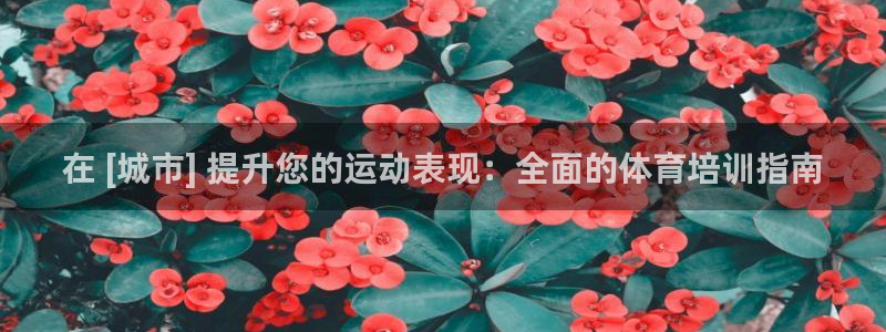 极悦娱乐代理人是谁呀：在 [城市] 提升您的运动表现