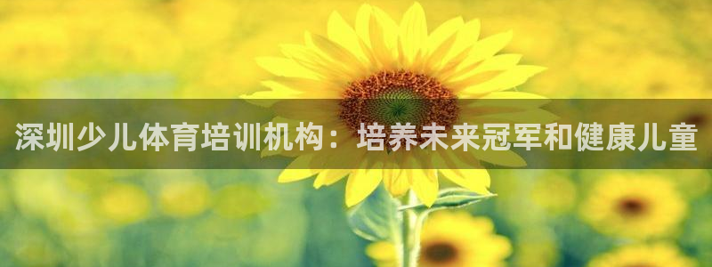 极悦娱乐官网最新版本更新内容：深圳少儿体育培训机构：