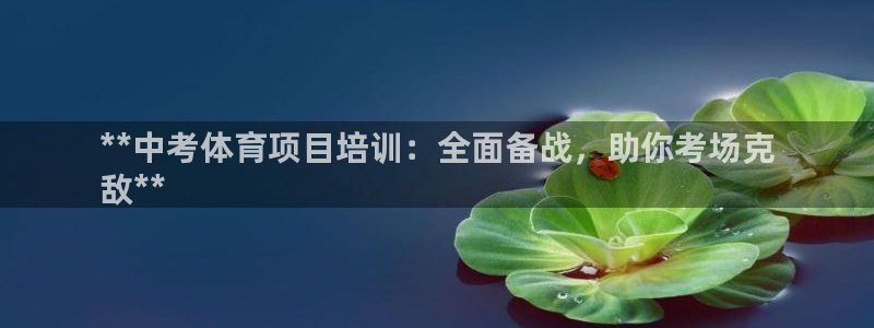 极悦平台创始人背景故事：**中考体育项目培训：全面备
