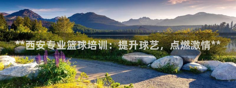 极悦平台的注册流程及注意事项：**西安专业篮球培训：