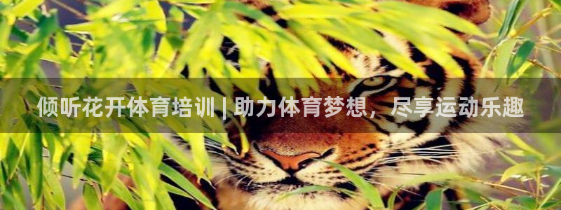 极悦娱乐会被骗吗：倾听花开体育培训 | 助力体育梦想