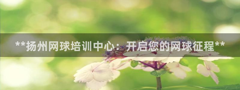 极悦娱乐登录拒绝访问怎么办啊：**扬州网球培训中心：