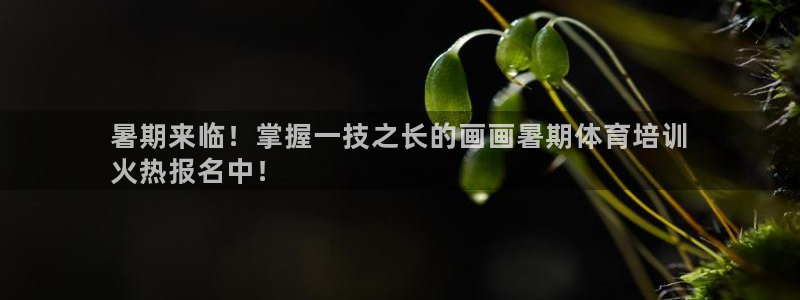 极悦平台用户反馈和反馈的区别：暑期来临！掌握一技之长
